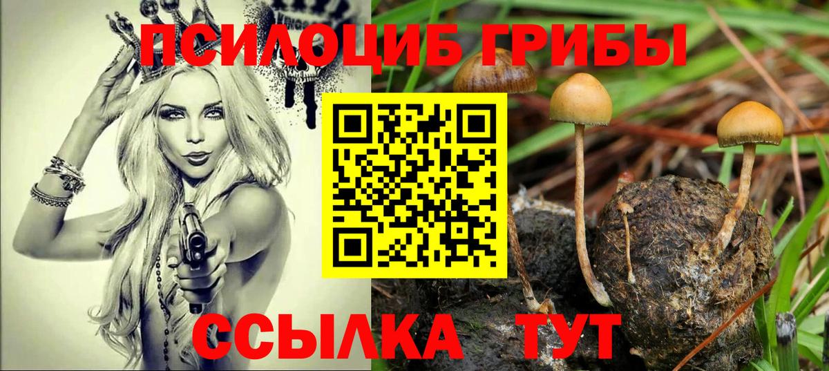 Галлюциногенные грибы прущие грибы  Вход с VPN  купить  сайты  Галлюциногенные грибы мухоморы  Славгород 